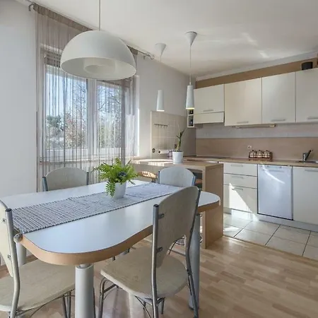 Irena Apartment Karigador