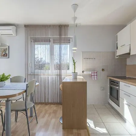 Apartment Irena *